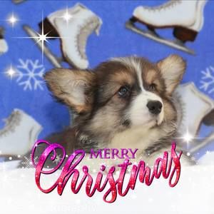 Meet your Posher, Isy